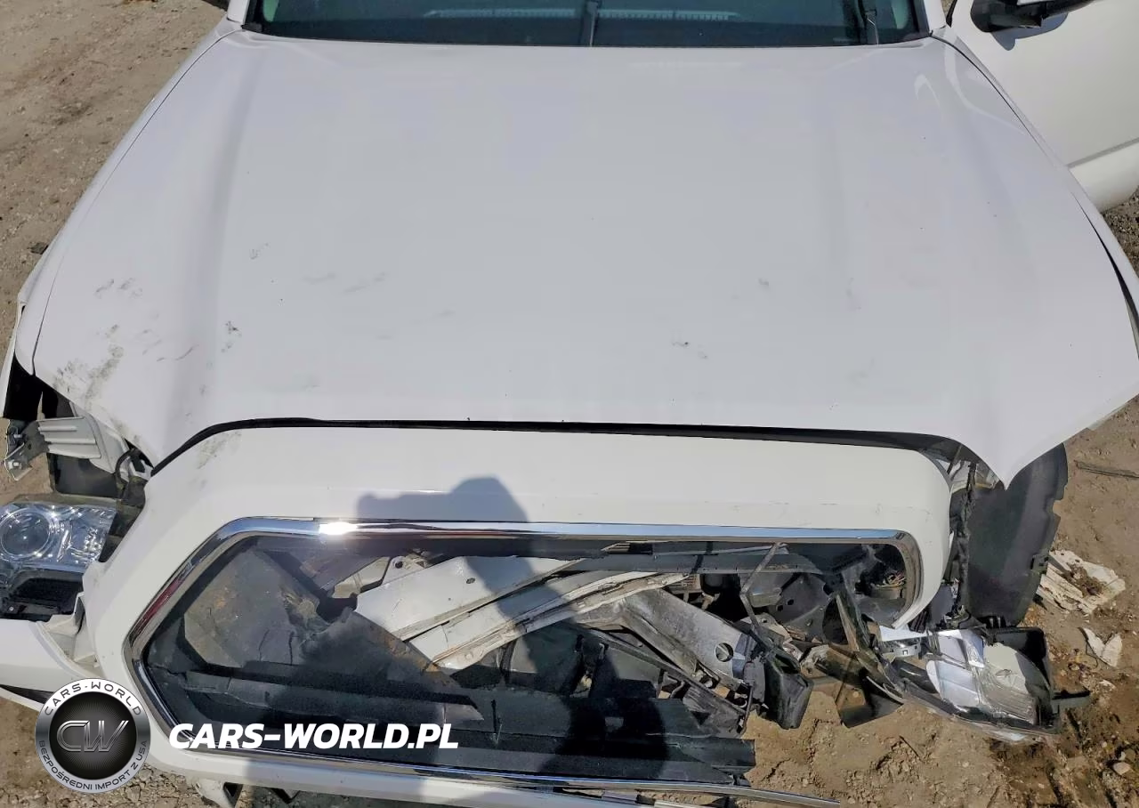 2020 Toyota Tacoma Double Cab VIN:5TFAX5GNXLX174166 - 11