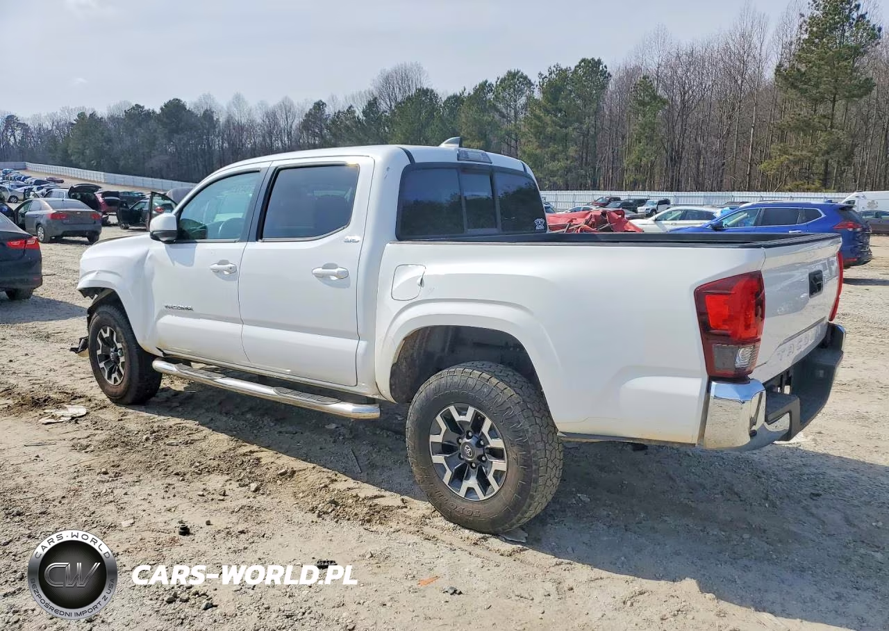 2020 Toyota Tacoma Double Cab VIN:5TFAX5GNXLX174166 - 2