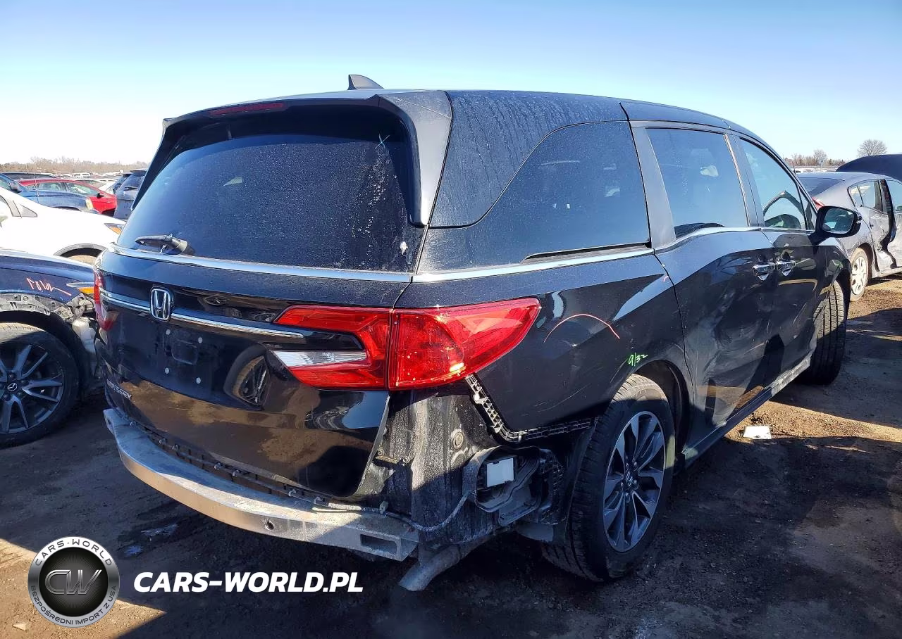 2024 Honda Odyssey Exl VIN:5FNRL6H68RB050279 - 3