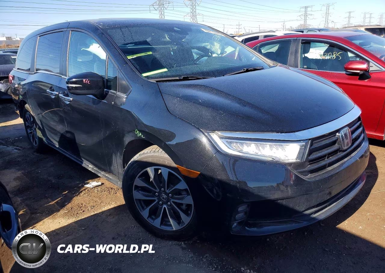 2024 Honda Odyssey Exl VIN:5FNRL6H68RB050279 - 4