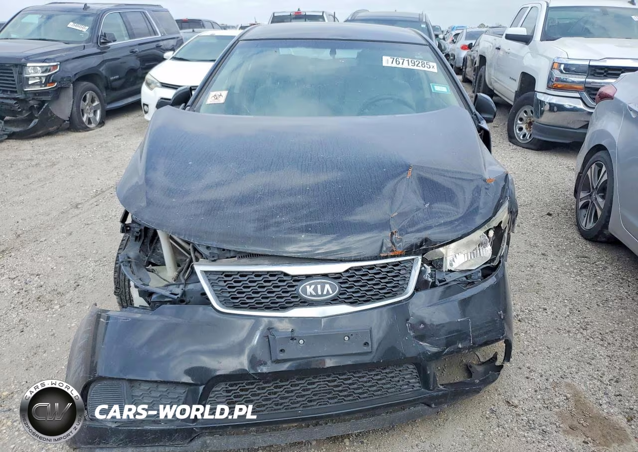 2013 Kia Forte Lx VIN:KNAFT4A26D5733278 - 5
