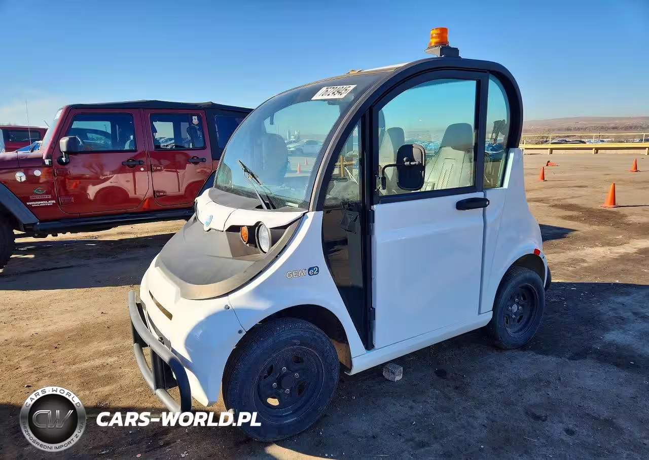 2019 Global Electric Motors E2