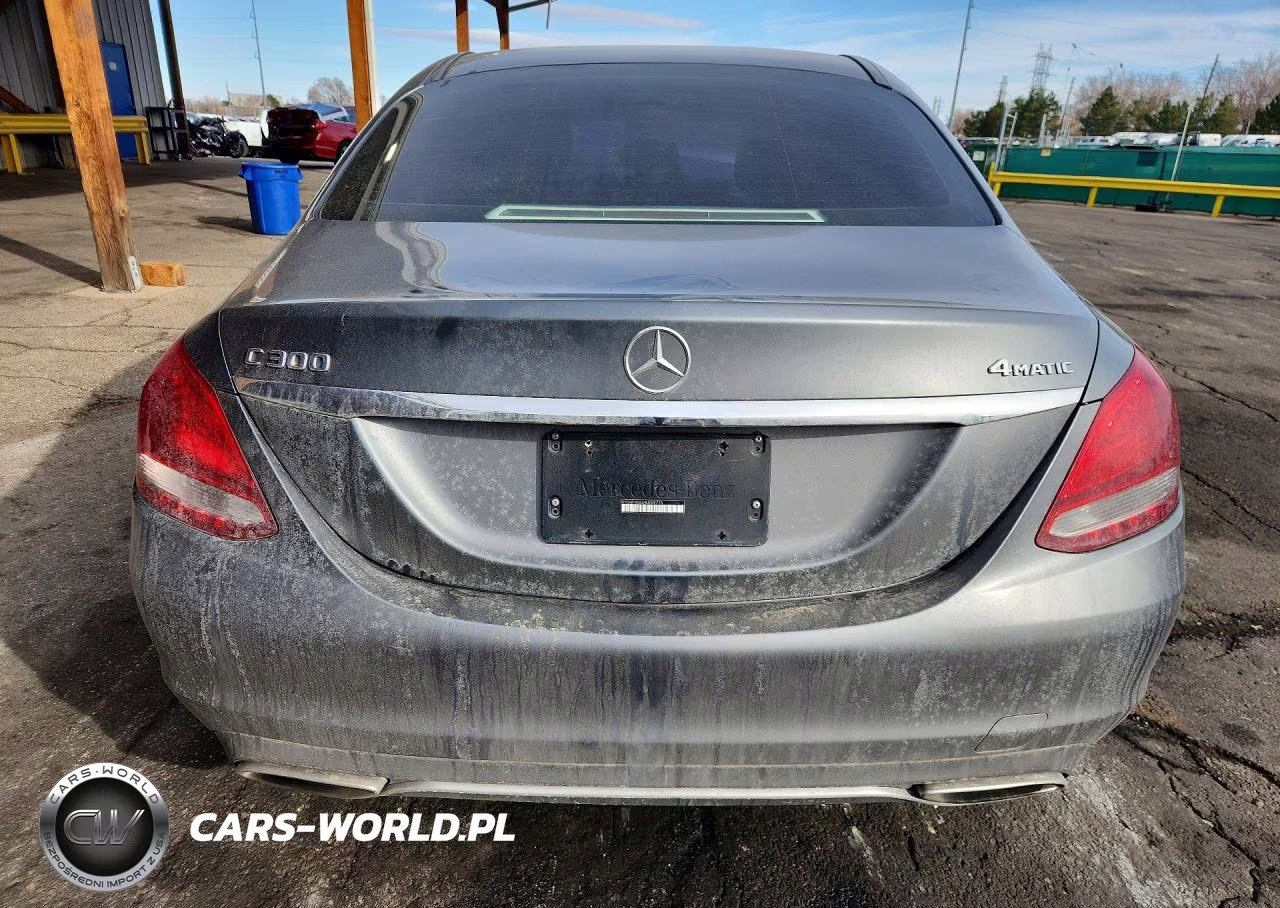 2017 Mercedes-Benz C 300 4Matic VIN:55SWF4KB3HU209775 - 6