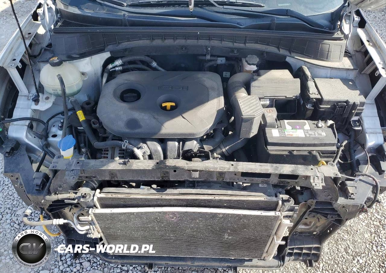 2019 Hyundai Tucson Se VIN:KM8J2CA42KU908524 - 12