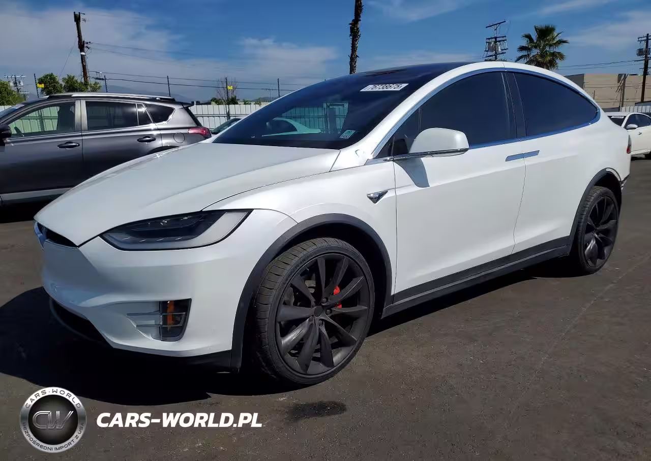 2019 Tesla Model X