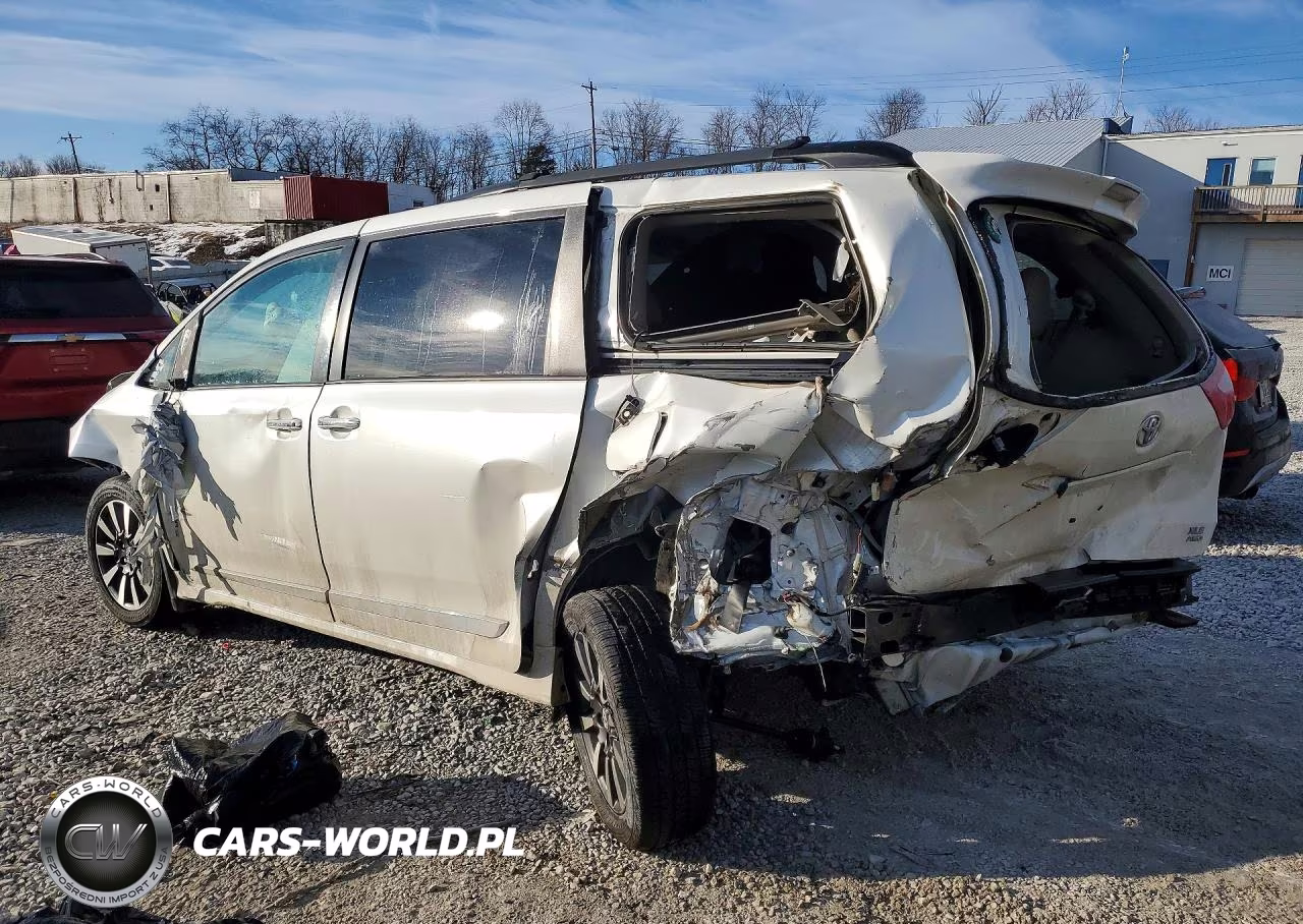 2018 Toyota Sienna Xle 7-Passenger VIN:5TDDZ3DC5JS197839 - 2