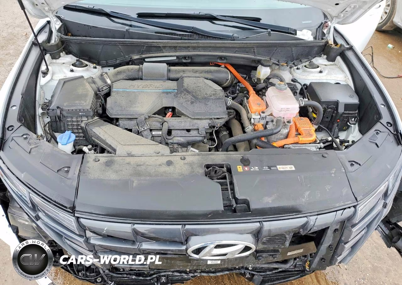 2023 Hyundai Tucson Sel Convenience VIN:KM8JFCA18PU096034 - 11