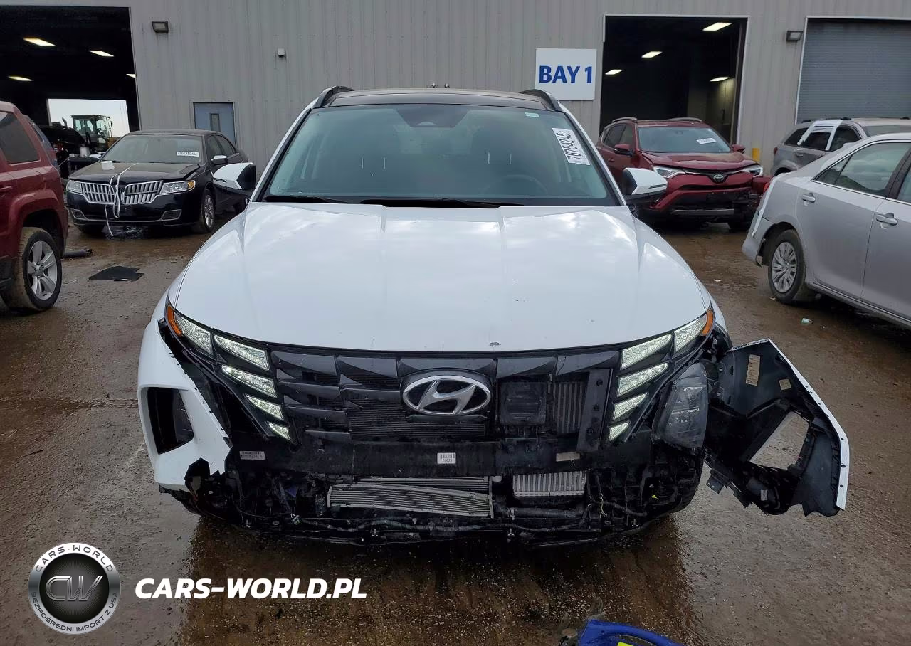 2023 Hyundai Tucson Sel Convenience VIN:KM8JFCA18PU096034 - 5