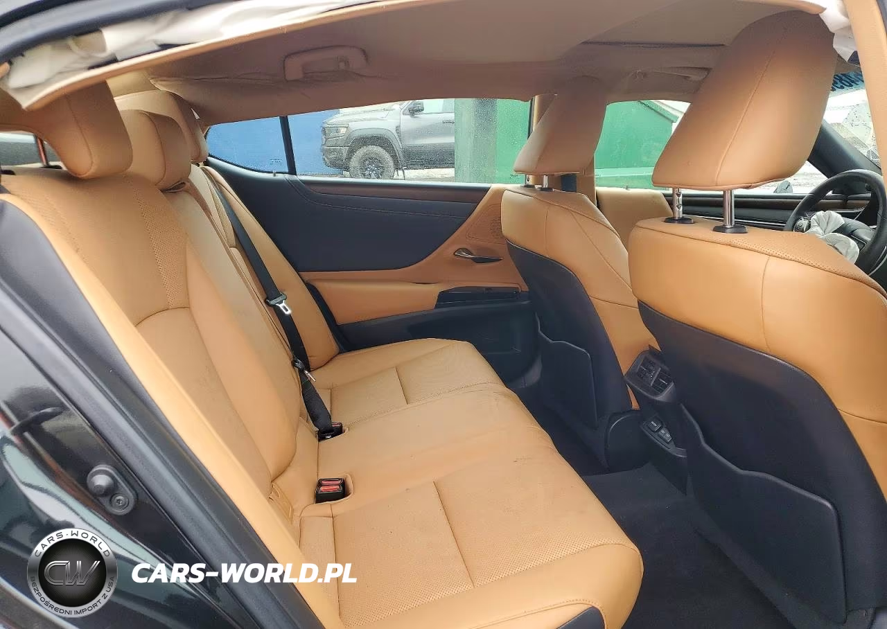 2023 Lexus Es 300H Base VIN:58ADA1C13PU033302 - 10