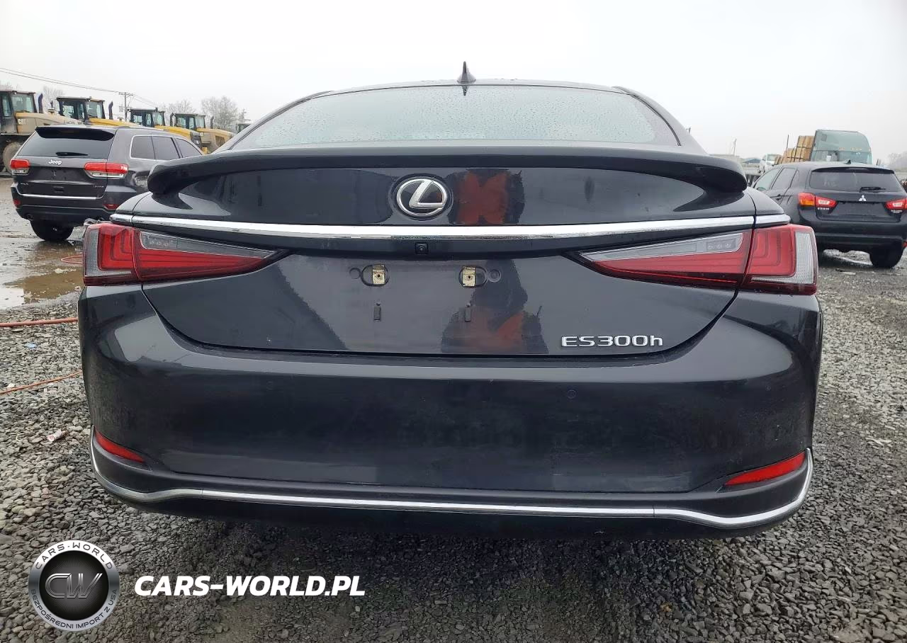 2023 Lexus Es 300H Base VIN:58ADA1C13PU033302 - 6