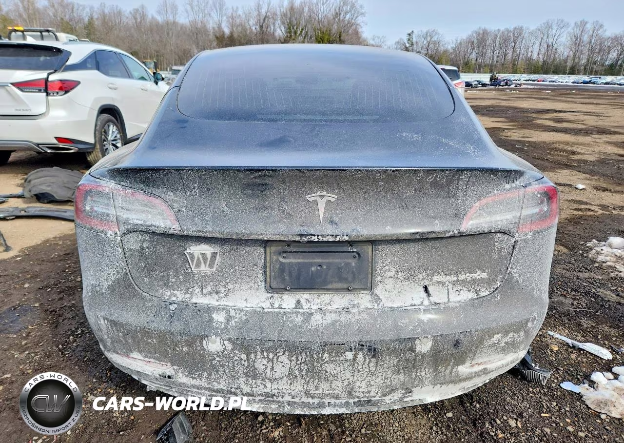 2020 Tesla Model 3 VIN:5YJ3E1EB8LF600768 - 6