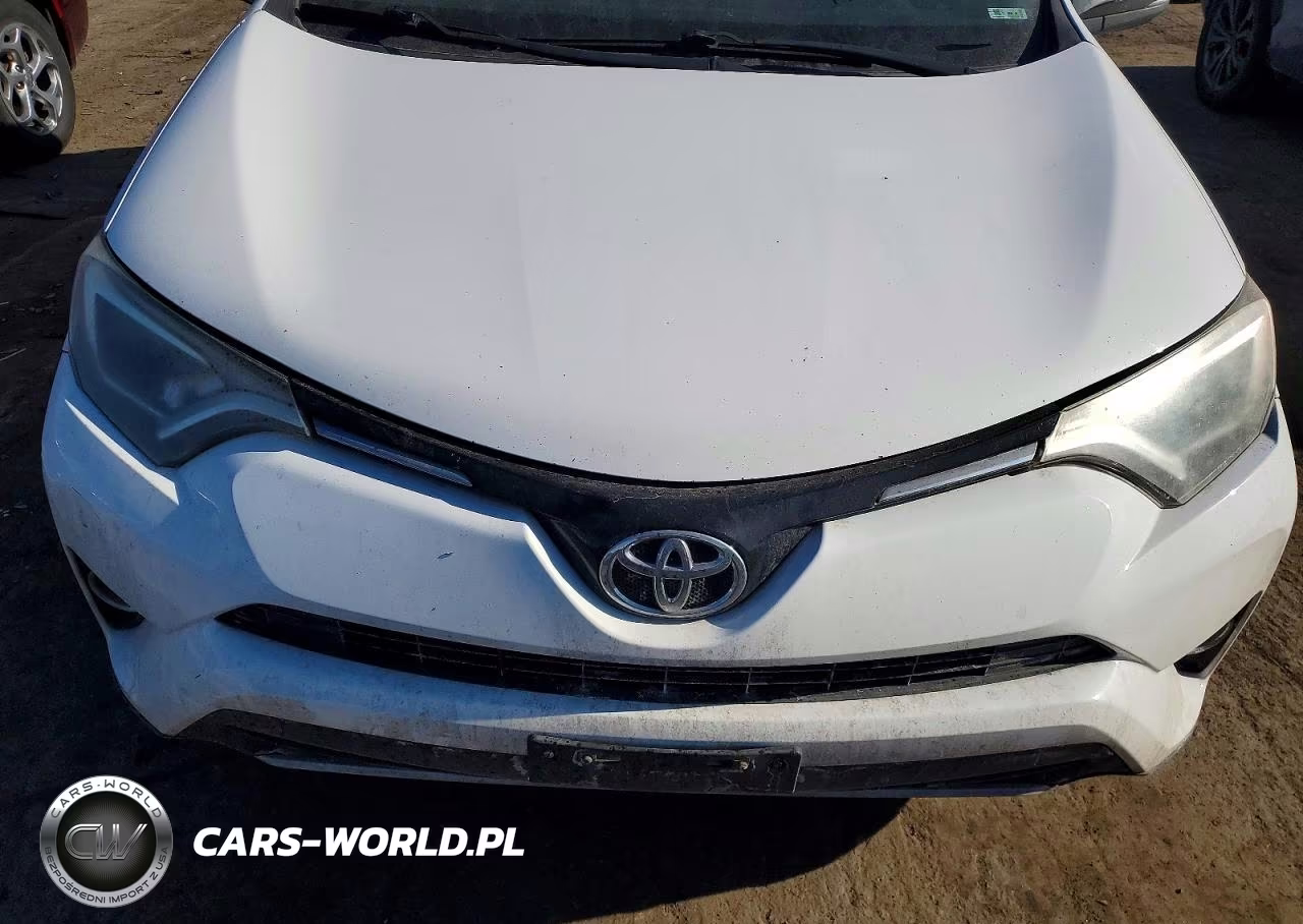 2016 Toyota Rav4 Xle VIN:2T3RFREV7GW425400 - 11