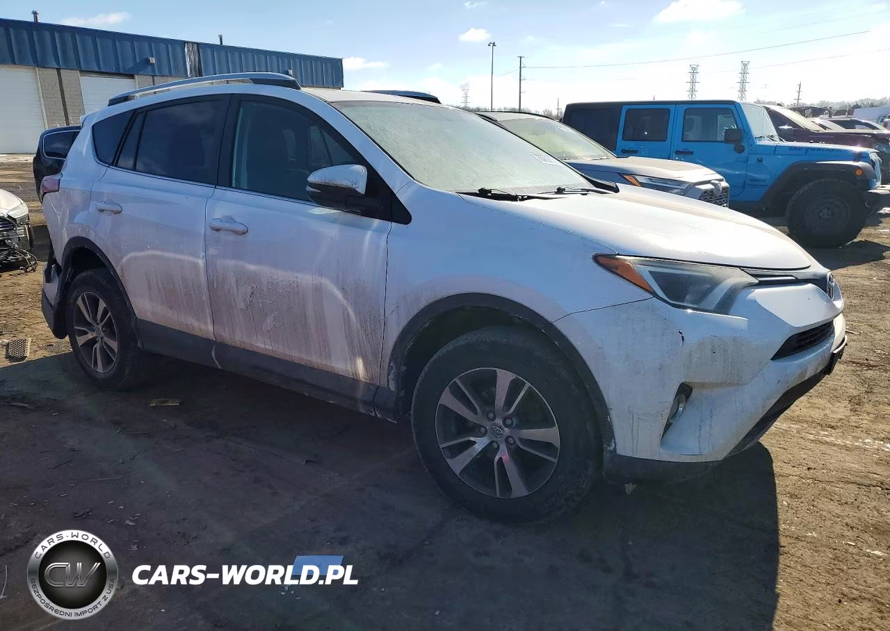 2016 Toyota Rav4 Xle VIN:2T3RFREV7GW425400 - 4