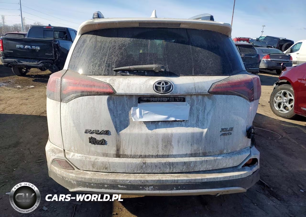 2016 Toyota Rav4 Xle VIN:2T3RFREV7GW425400 - 6
