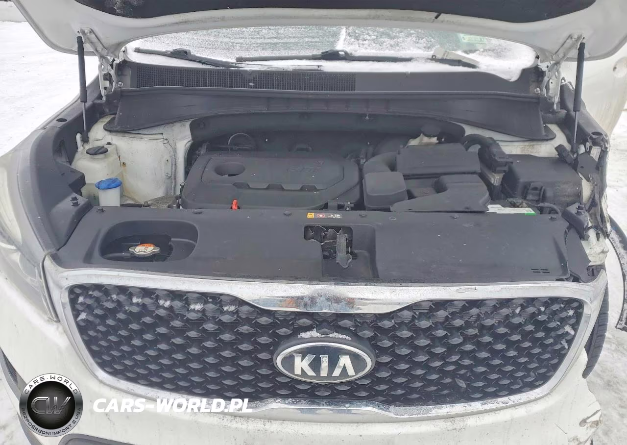 2018 Kia Sorento Lx VIN:5XYPGDA36JG393945 - 12