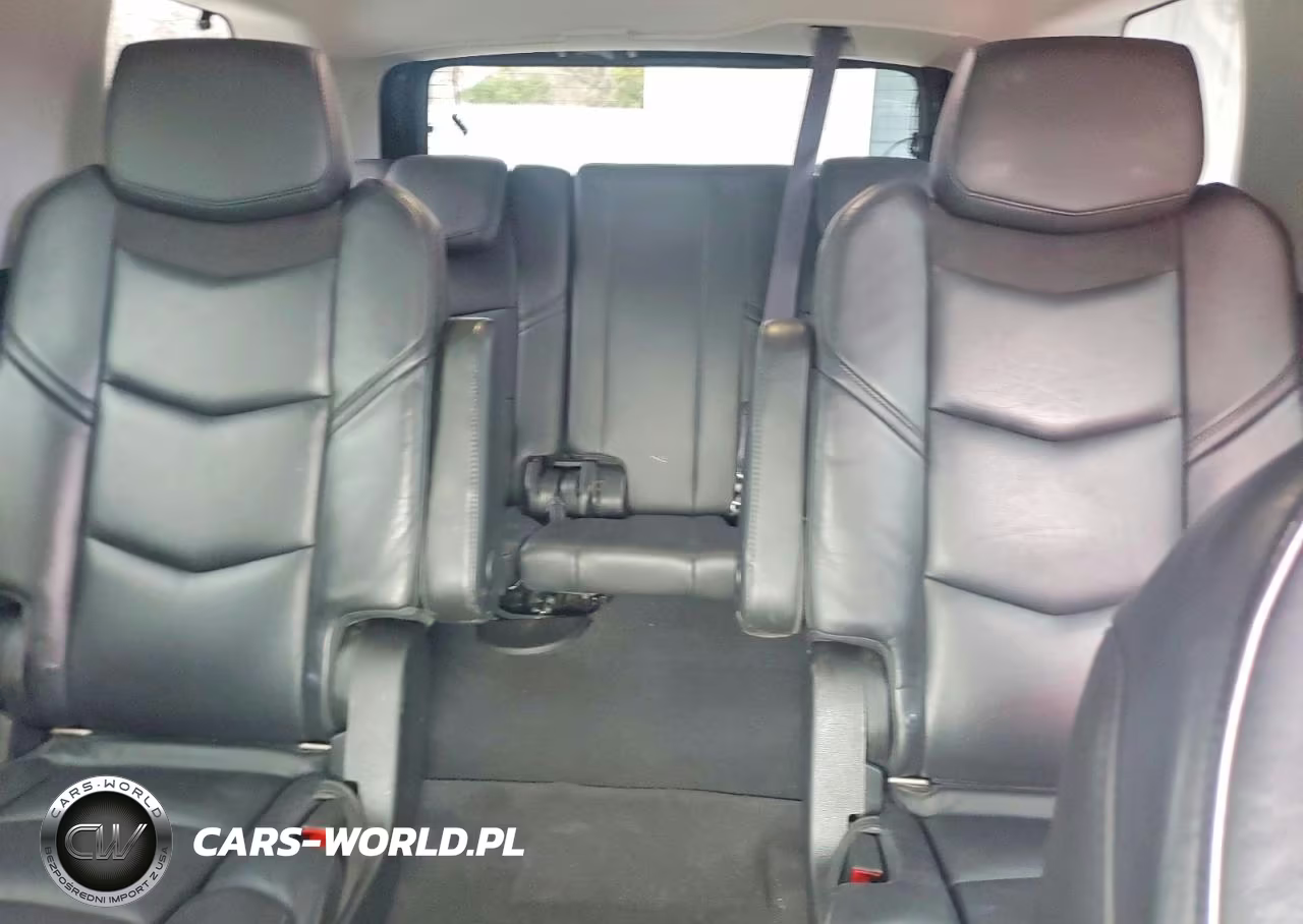 2015 Cadillac Escalade Luxury VIN:1GYS3BKJ3FR253183 - 10