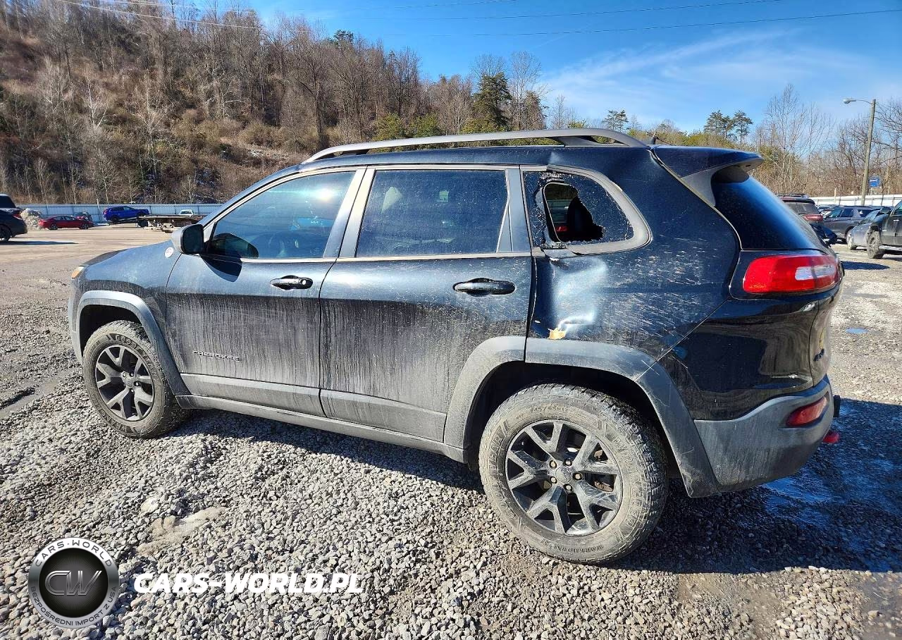 2016 Jeep Cherokee Trailhawk VIN:1C4PJMBS5GW132406 - 2