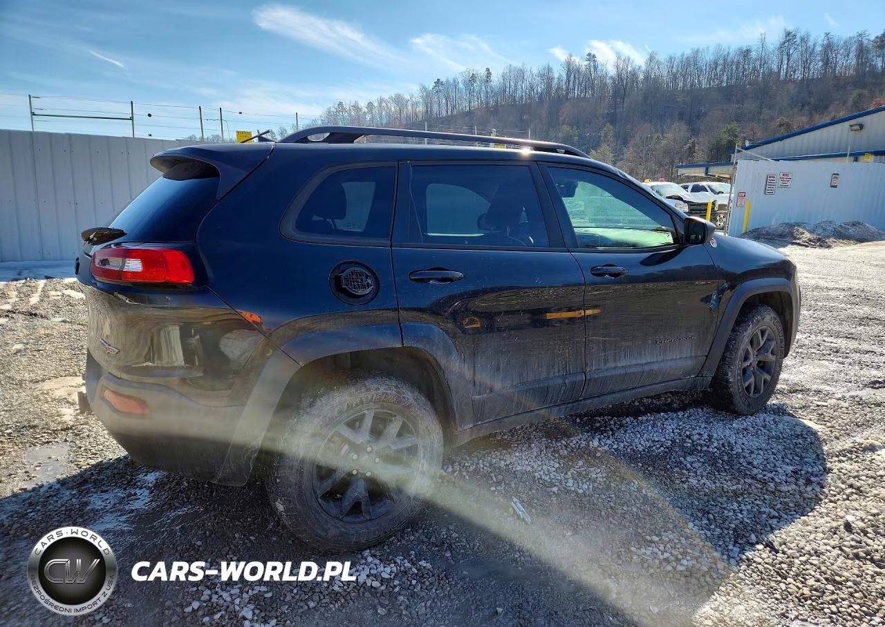 2016 Jeep Cherokee Trailhawk VIN:1C4PJMBS5GW132406 - 3