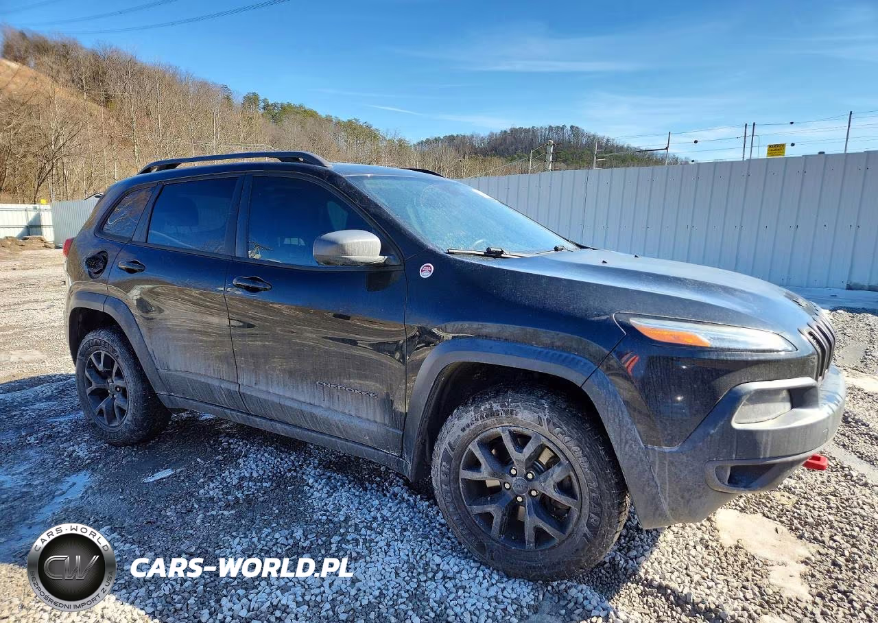 2016 Jeep Cherokee Trailhawk VIN:1C4PJMBS5GW132406 - 4