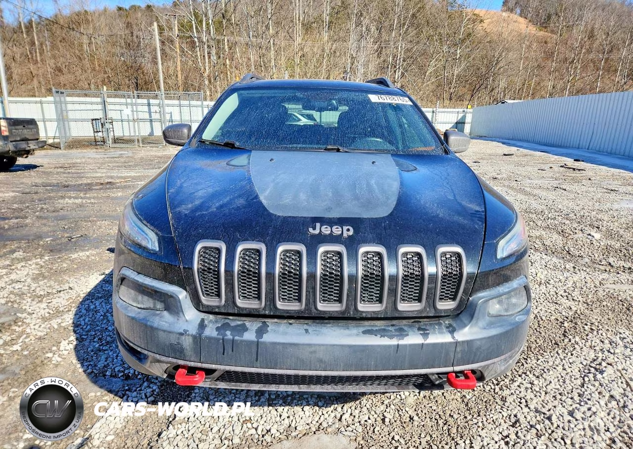 2016 Jeep Cherokee Trailhawk VIN:1C4PJMBS5GW132406 - 5