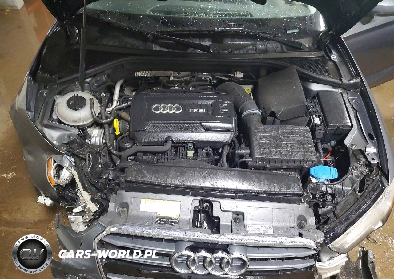 2015 Audi A3 Premium Plus VIN:WAUEFGFF7F1009870 - 11