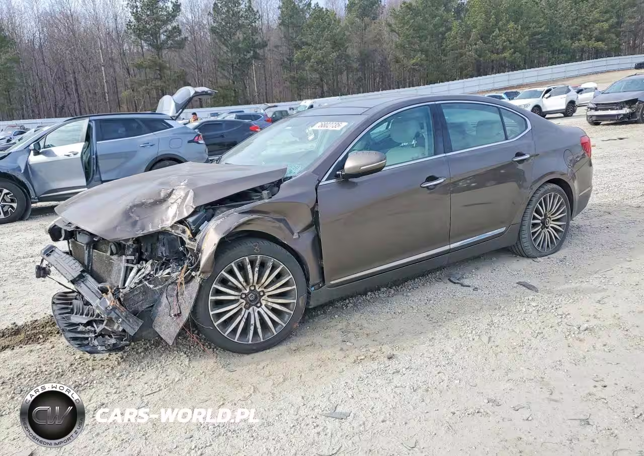 2014 Kia Cadenza Premium