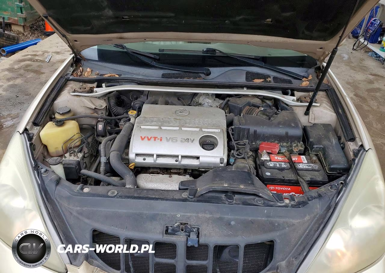 2003 Lexus Es 300 VIN:JTHBF30G136009215 - 11