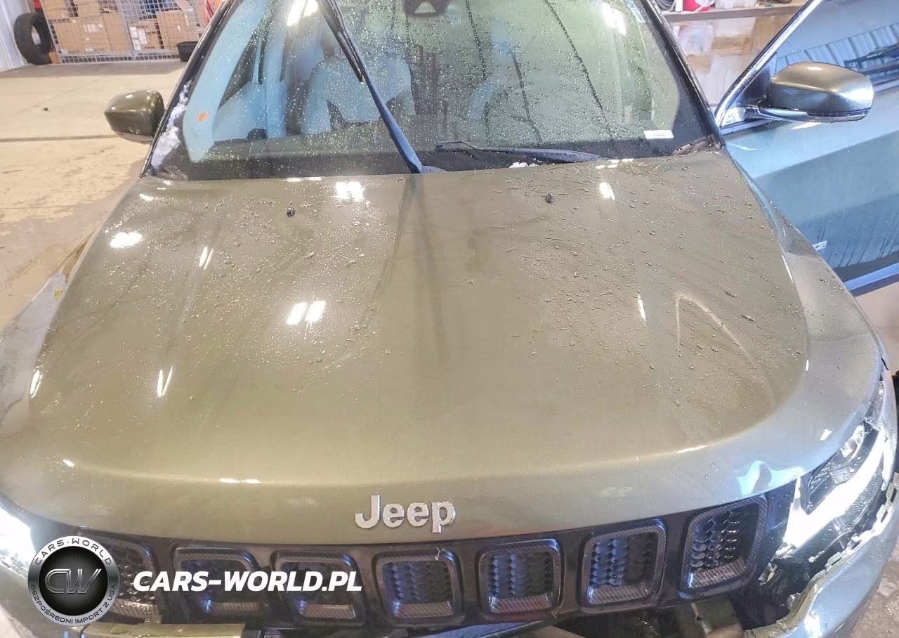 2018 Jeep Compass Limited VIN:3C4NJDCBXJT356791 - 12