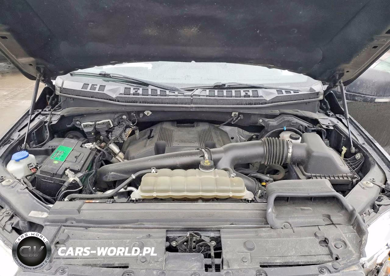 2019 Ford F150 Supercrew VIN:1FTEW1E49KKE54454 - 11