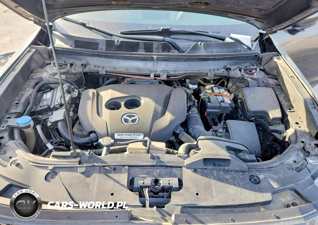 2017 Mazda Cx-9 Sport VIN:JM3TCABY6H0136469 - 12