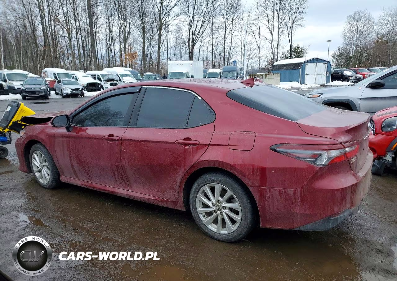2021 Toyota Camry Le VIN:4T1C11AK1MU556019 - 2