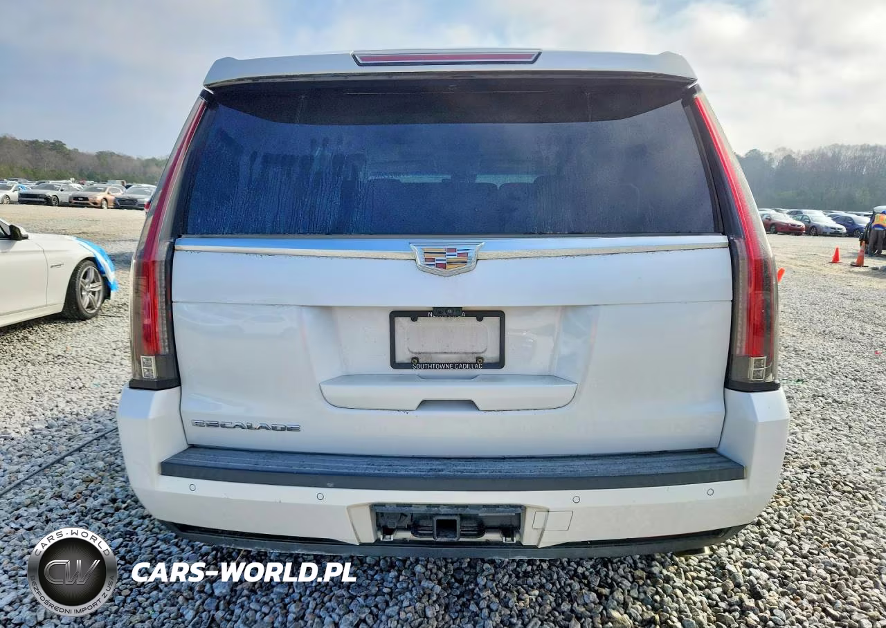 2017 Cadillac Escalade Luxury VIN:1GYS3BKJ4HR355224 - 6