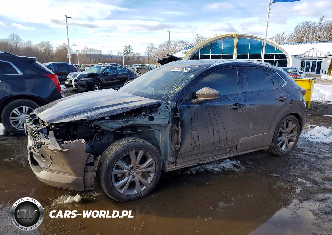 2021 Mazda Cx-30 Premium