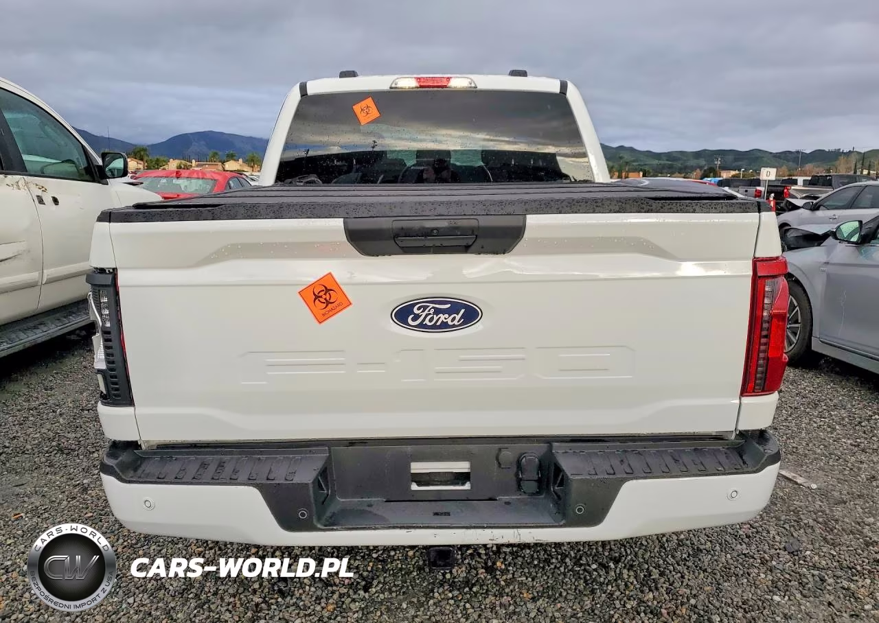 2025 Ford F150 Stx VIN:1FTEW2LP6SKF79690 - 6