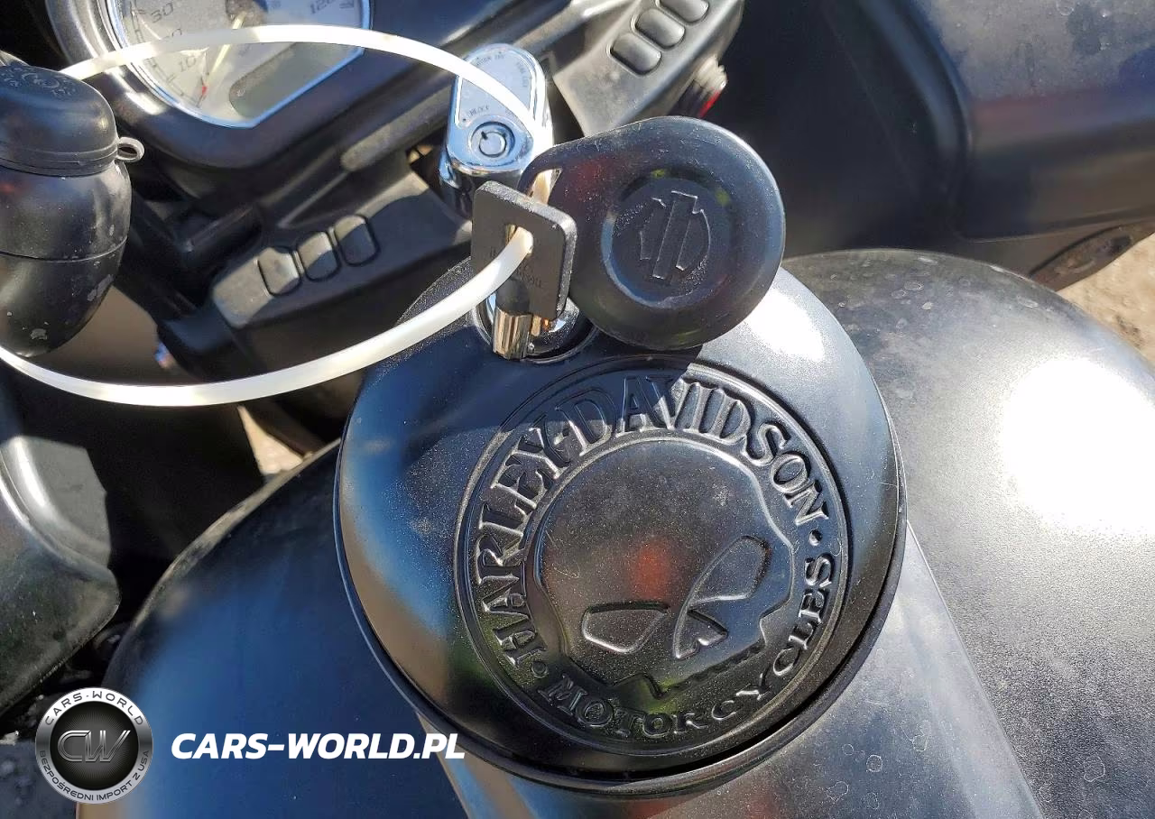 2015 Harley-Davidson Fltrxs Road Glide Special VIN:1HD1KTM11FB650907 - 8