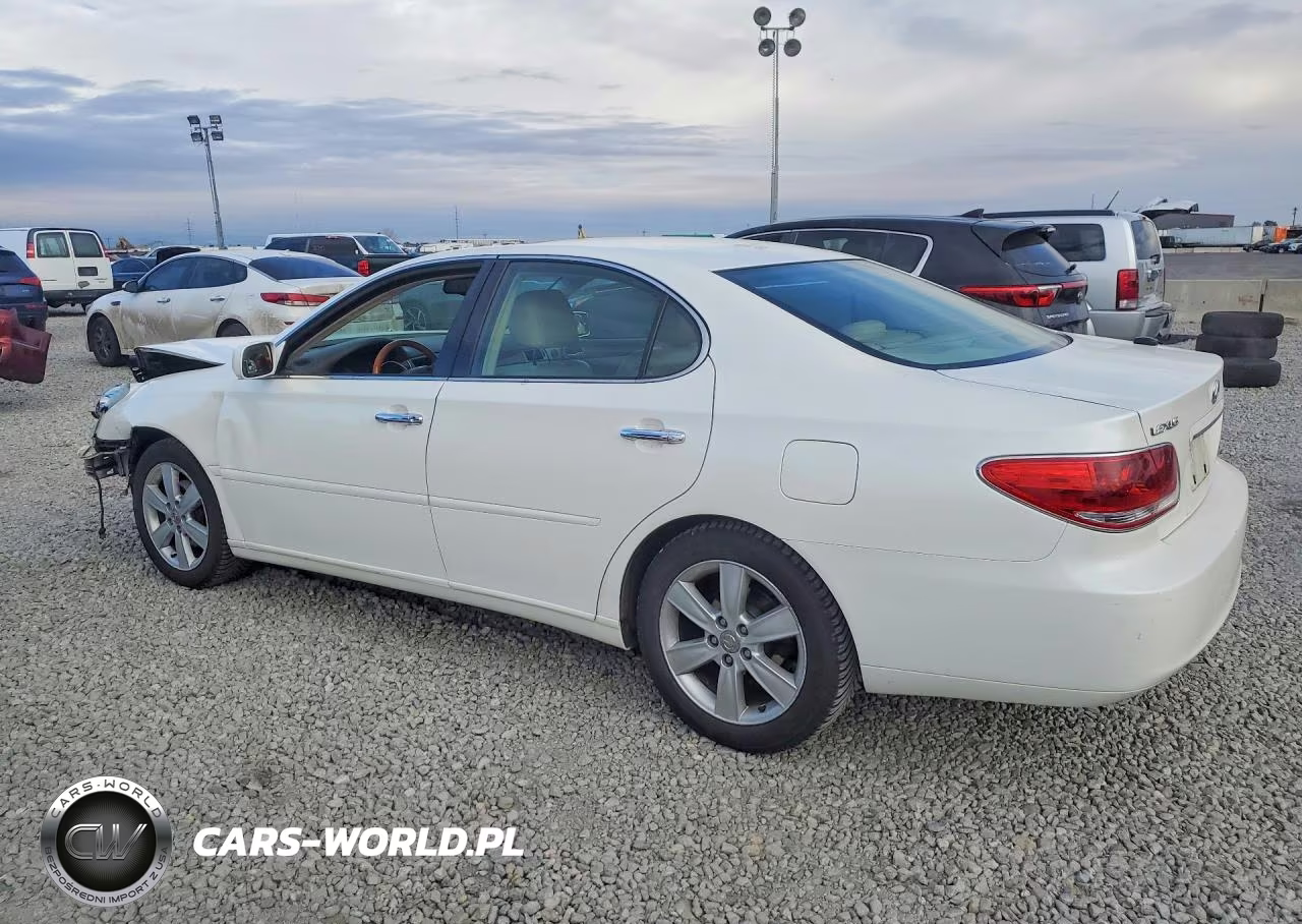2006 Lexus Es 330 VIN:JTHBA30G865151117 - 2