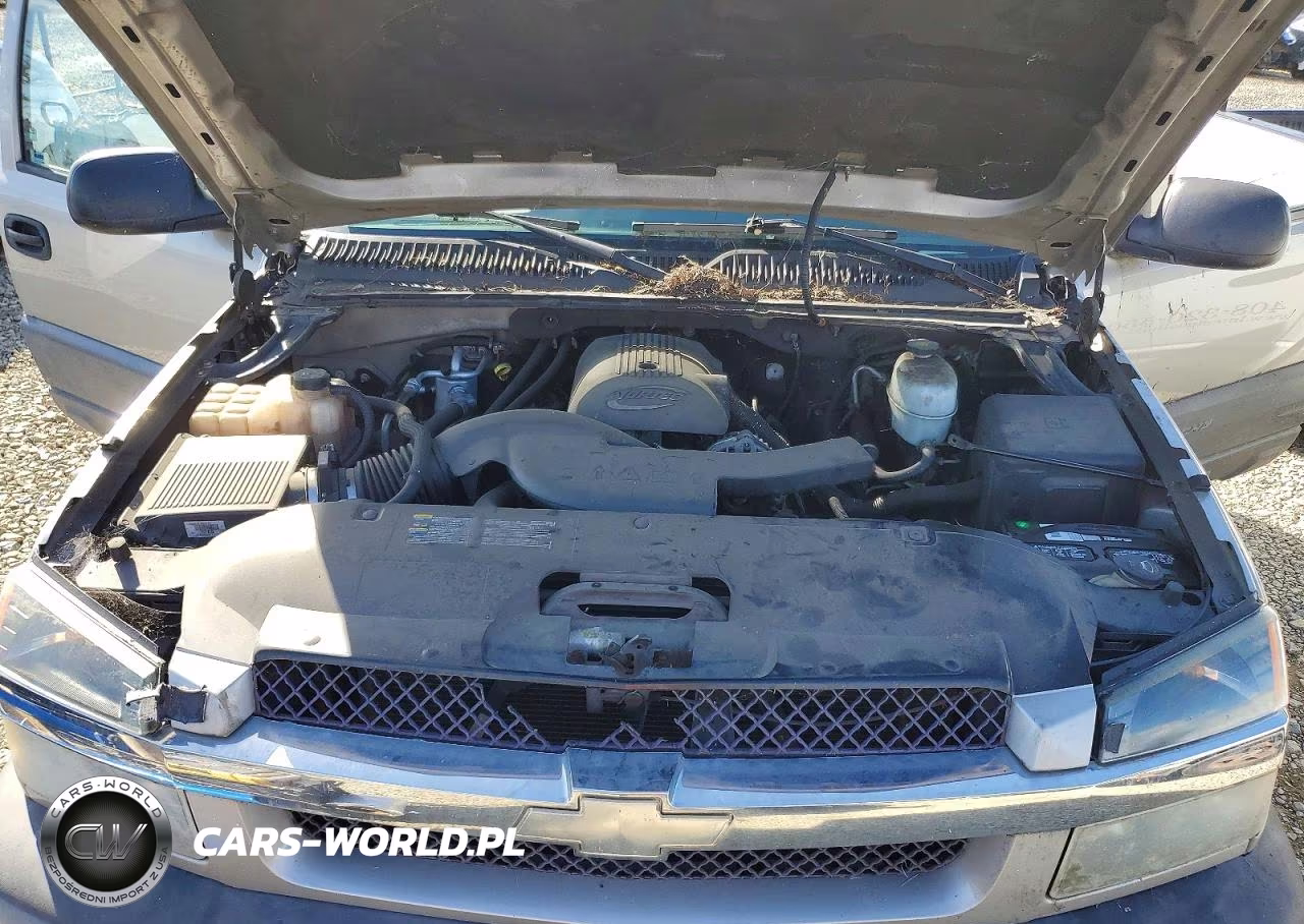 2006 Chevrolet Avalanche C1500 VIN:3GNEC12Z66G235464 - 11