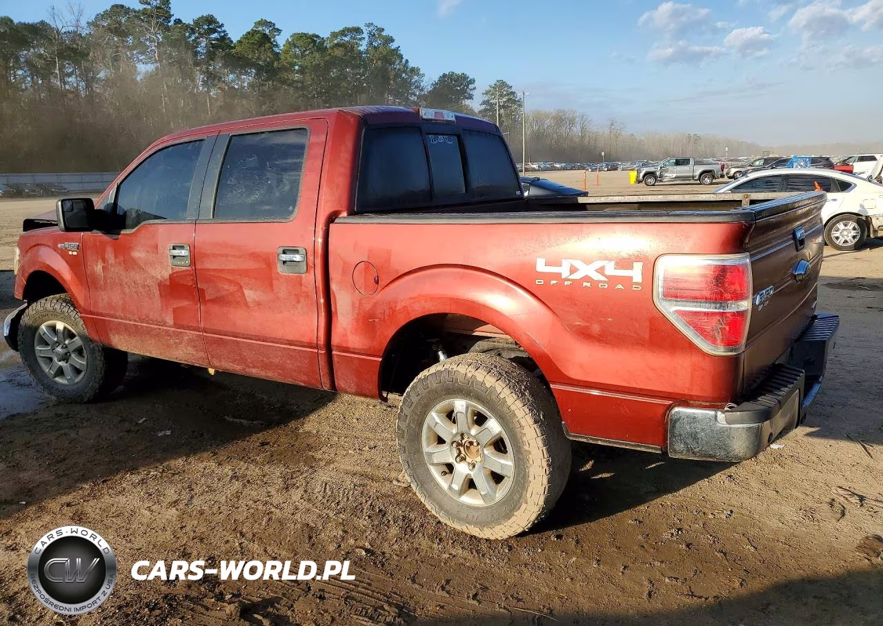 2014 Ford F150 Supercrew VIN:1FTFW1EF0EKD05599 - 2