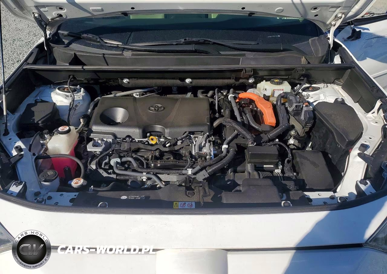 2019 Toyota Rav4 Xle VIN:JTMRWRFV1KD019102 - 12