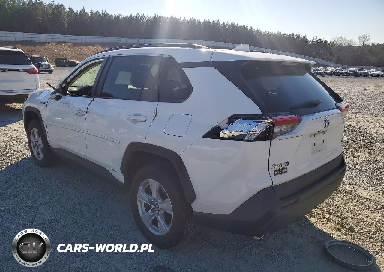 2019 Toyota Rav4 Xle VIN:JTMRWRFV1KD019102 - 2