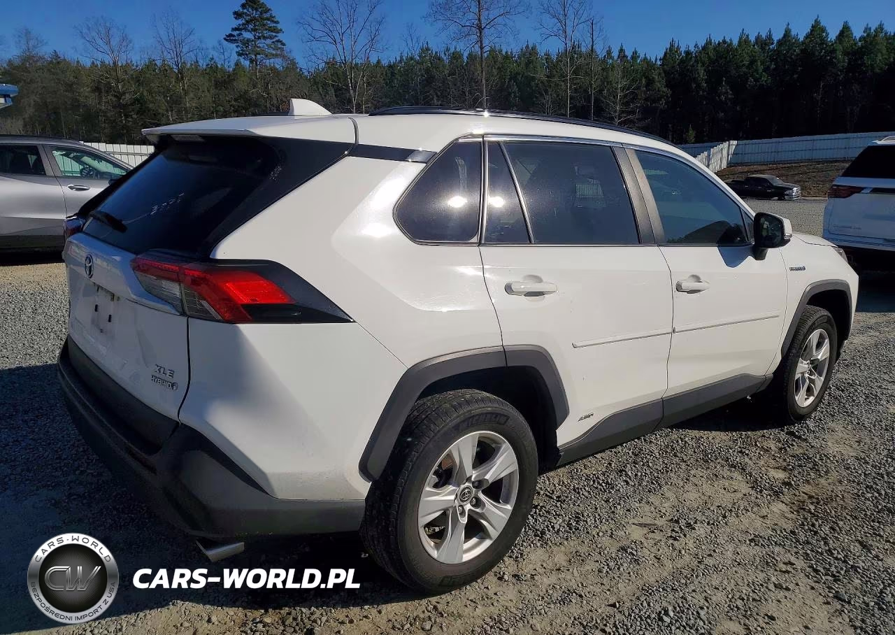 2019 Toyota Rav4 Xle VIN:JTMRWRFV1KD019102 - 3