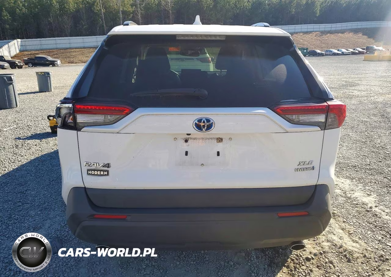2019 Toyota Rav4 Xle VIN:JTMRWRFV1KD019102 - 6