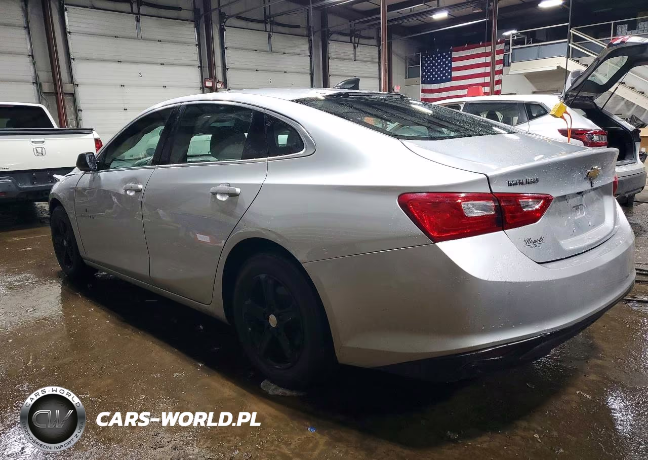2019 Chevrolet Malibu Ls VIN:1G1ZC5ST7KF200949 - 2