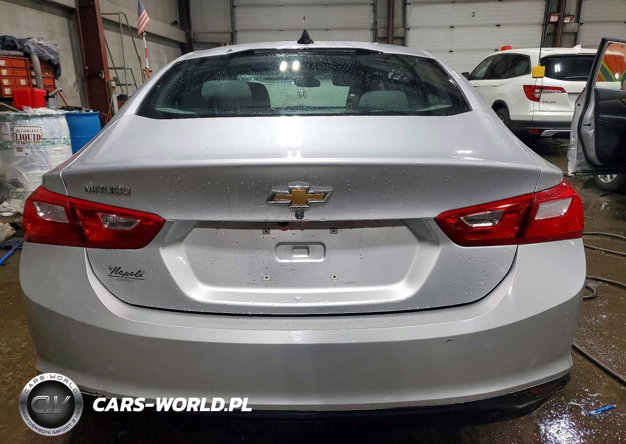 2019 Chevrolet Malibu Ls VIN:1G1ZC5ST7KF200949 - 6