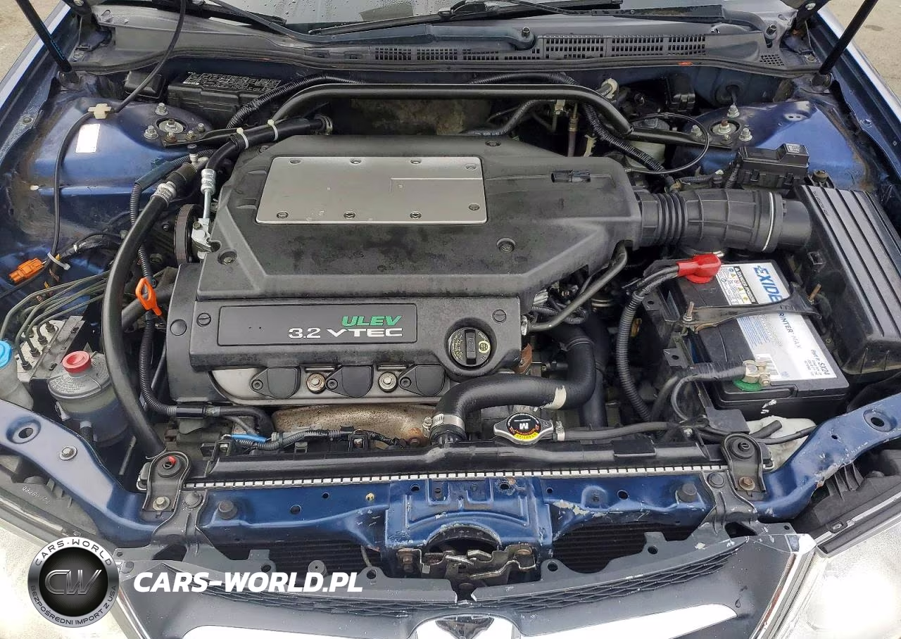 2003 Acura 3.2Tl VIN:19UUA56613A052129 - 11