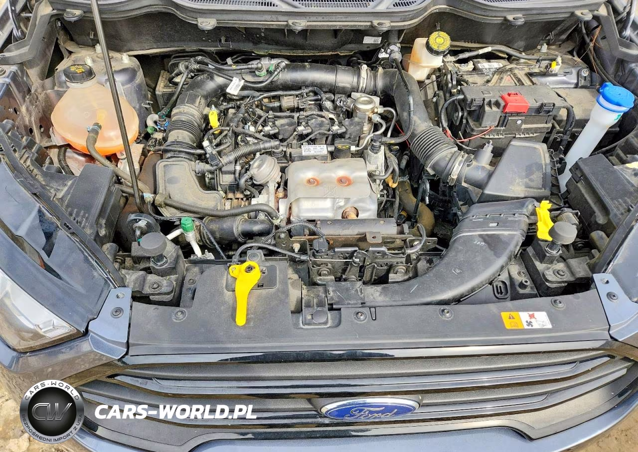 2021 Ford Ecosport S VIN:MAJ3S2FE3MC439015 - 12