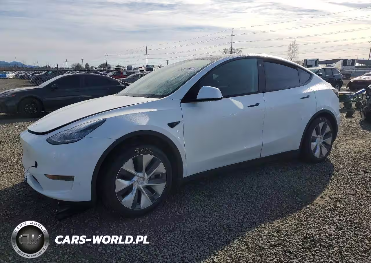 2020 Tesla Model Y
