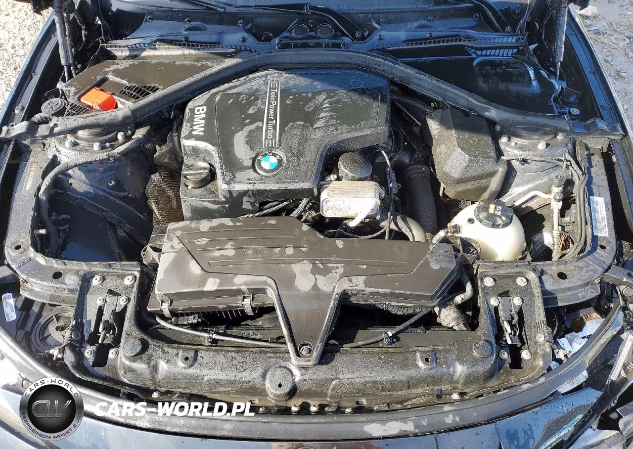 2015 BMW 328 Xi Sulev VIN:WBA3B5G54FNS18022 - 11