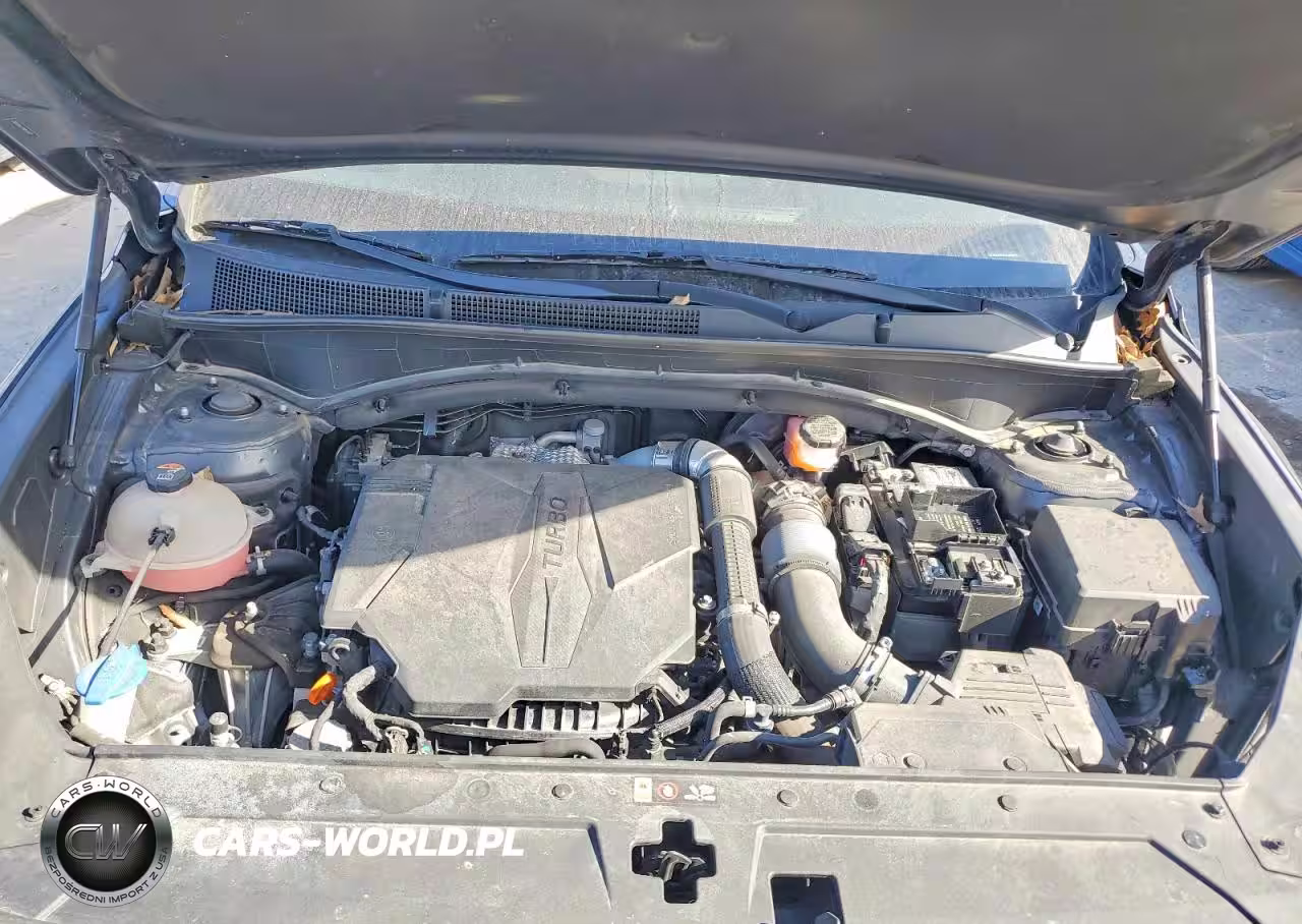 2021 Hyundai Santa Fe Limited VIN:5NMS44ALXMH319179 - 12