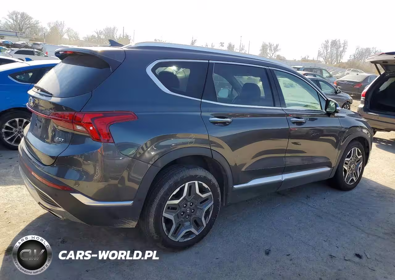 2021 Hyundai Santa Fe Limited VIN:5NMS44ALXMH319179 - 3